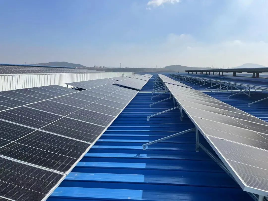 1648606523164782.jpg 640.jpg