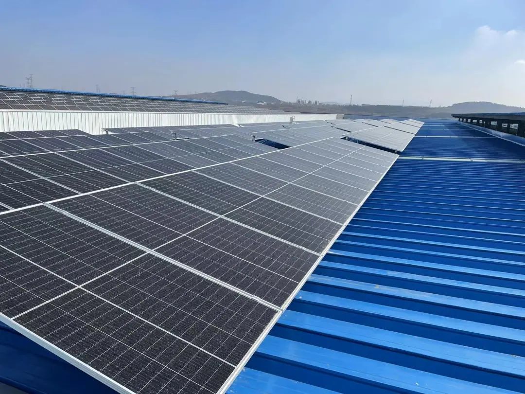 1648606562108439.jpg 640.jpg