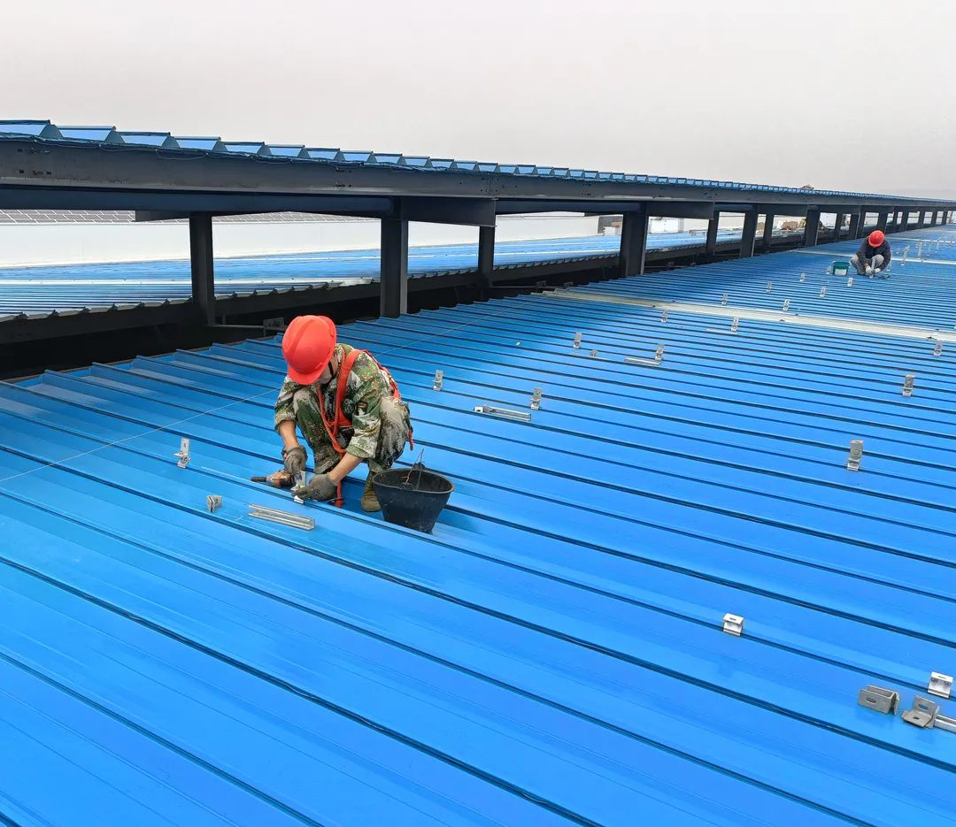 1648606585162742.jpg 640 (2).jpg