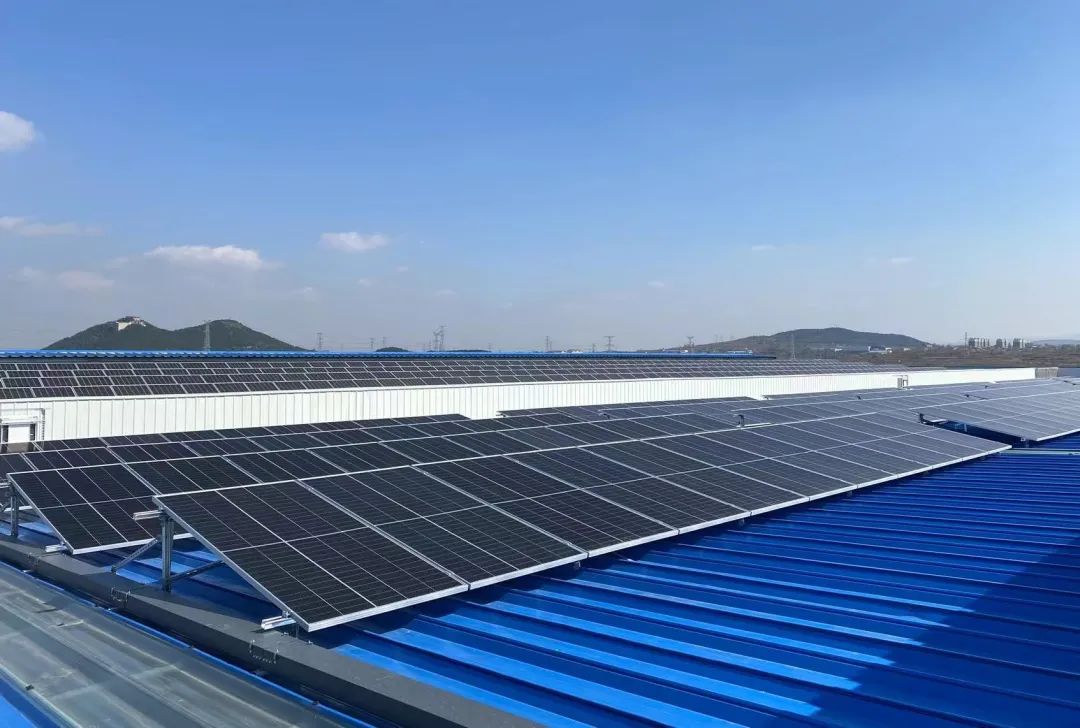 1648607157892170.jpg 640 (2).jpg